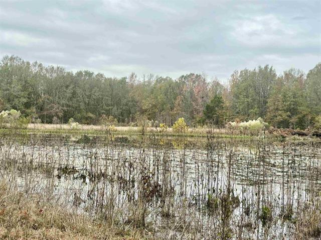 293 E Sidney Noble Ln, DeWitt, AR à vendre - Autre – Image 1 sur 49