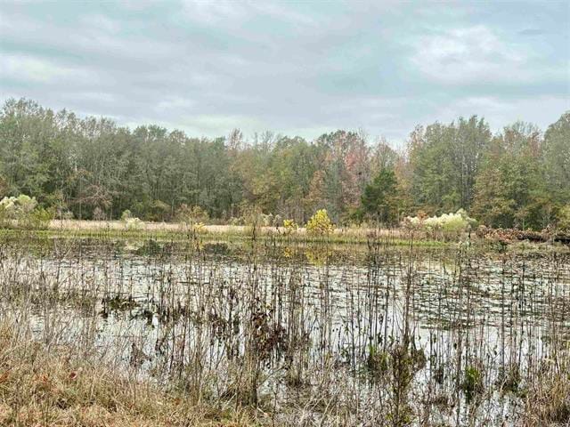 293 E Sidney Noble Ln, DeWitt, AR à vendre Autre– Image 1 sur 50