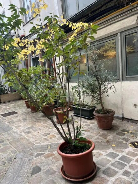 Bureau dans Paris à louer - Photo de l’immeuble – Image 3 sur 16