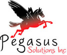 Constellation Pegasus Llc