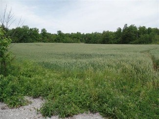 Plus de détails pour 00 350 S, Crawfordsville, IN - Terrain à vendre