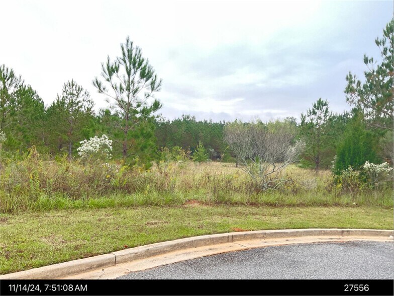 N. Hwy 41 @ Osigian Blvd., Warner Robins, GA à vendre - Photo de l’immeuble – Image 2 sur 3