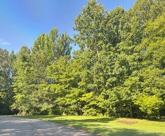 Plus de détails pour Jenny Lane 46 Acre Tract, Danville, VA - Terrain à vendre