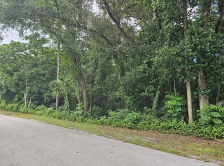 Plus de détails pour N Carpenter Ave, Orange City, FL - Terrain à vendre