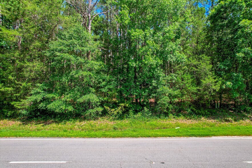 0 US 378 and Ann Scott Drive hwy, Lincolnton, GA à vendre - Photo de l’immeuble – Image 3 sur 22