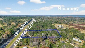 Plus de détails pour 21121 Highway 441 N, Micanopy, FL - Terrain à vendre