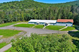 Plus de détails pour 4250 N State St, Salamanca, NY - Local commercial à vendre