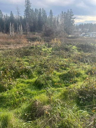 Plus de détails pour South Auburn Street, Grass Valley, CA - Terrain à vendre
