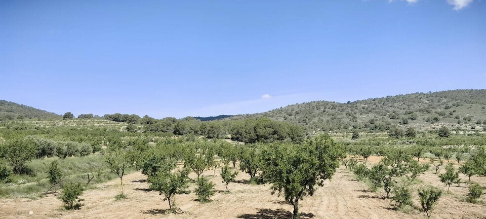 Terrain dans Yecla, Murcia à vendre - Aérien – Image 2 sur 6