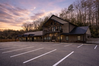 Plus de détails pour 33 Rose Petal Ln, Ellijay, GA - Local commercial à vendre