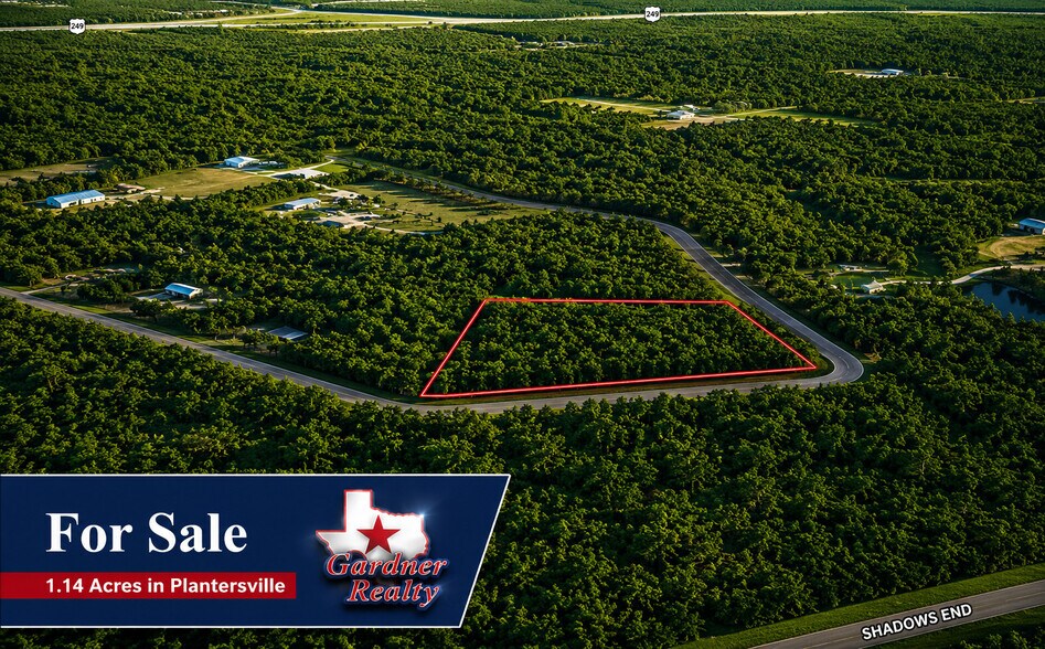 9102 Blue Lake dr, Plantersville, TX à vendre - Photo principale – Image 1 sur 4