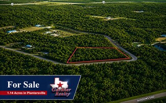 Plus de détails pour 9102 Blue Lake dr, Plantersville, TX - Terrain à vendre