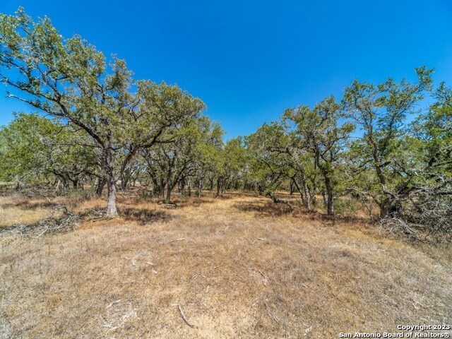 680 Annabelle Ave, Bulverde, TX à vendre Photo principale– Image 1 sur 12