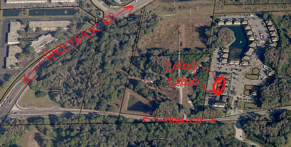 13105 Linebaugh ave, Tampa, FL à vendre - Photo de l’immeuble – Image 3 sur 5
