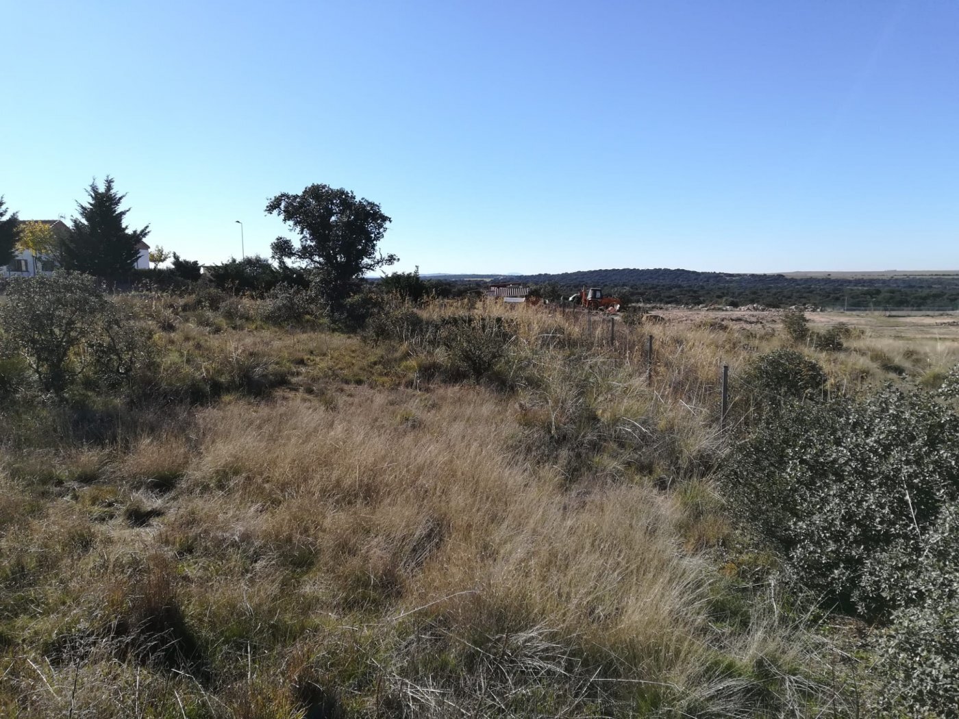 Terrain dans Buenavista, Salamanca à vendre Plan de site– Image 1 sur 12