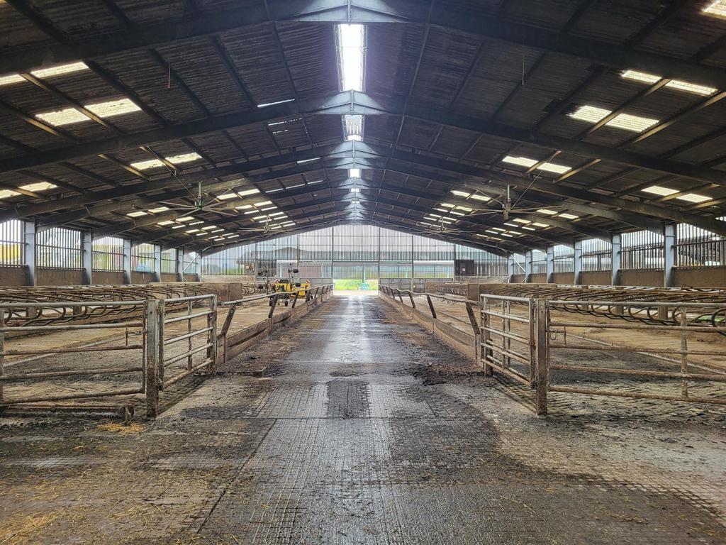 Waterditch Road, Christchurch à louer Photo intérieure– Image 1 sur 2