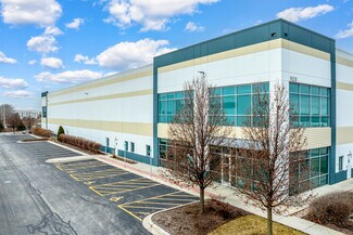 Plus de détails pour 9020 Murphy Rd, Woodridge, IL - Industriel/Logistique à louer