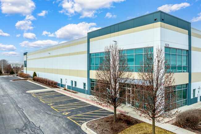 Plus de détails pour 9020 Murphy Rd, Woodridge, IL - Industriel/Logistique à louer
