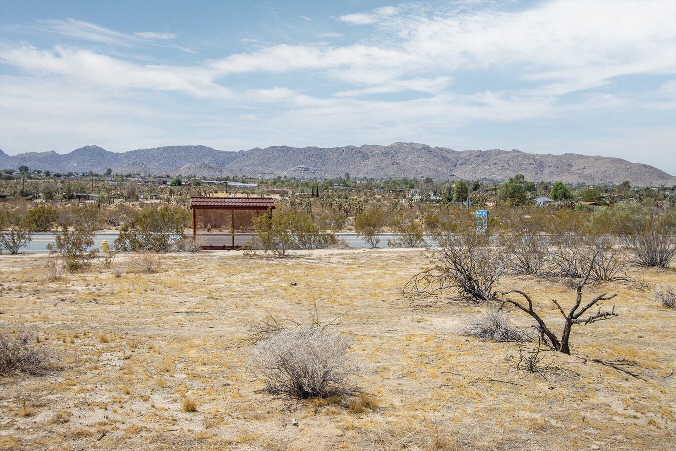 View Photo
