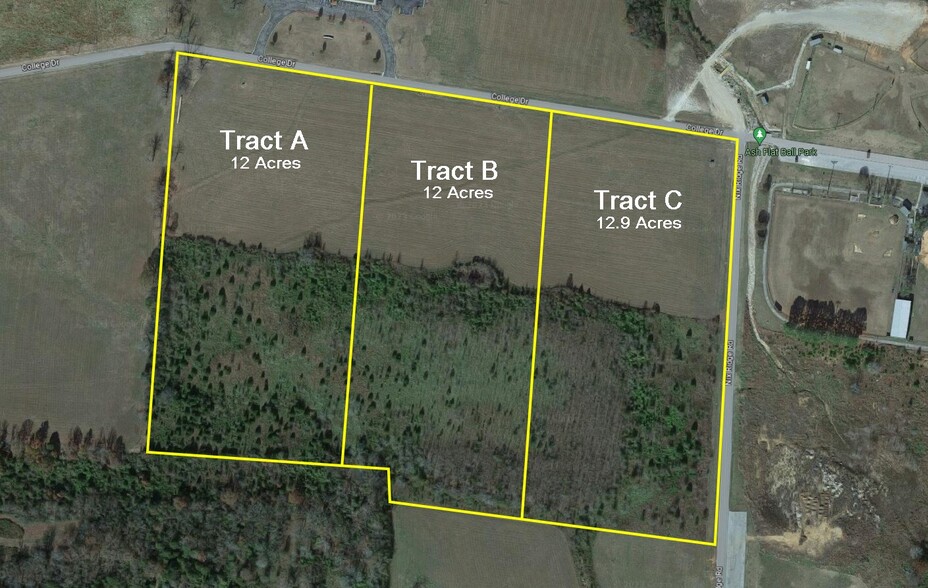 College Drive Dr, Ash Flat, AR à vendre - Photo de l’immeuble – Image 2 sur 5