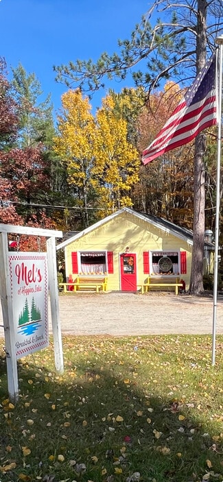 Plus de détails pour 3556 E Higgins Lake Dr, Higgins Lake, MI - Local commercial à vendre