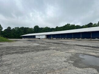 Plus de détails pour 1201 E Church St, Cherryville, NC - Industriel/Logistique à louer