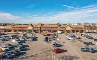 Plus de détails pour 1767 W Ogden Ave, Naperville, IL - Local commercial à vendre