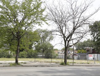 Plus de détails pour 100 E 75th St, Chicago, IL - Terrain à vendre
