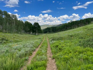 Plus de détails pour Skyline Drive, Fairview, UT - Terrain à vendre