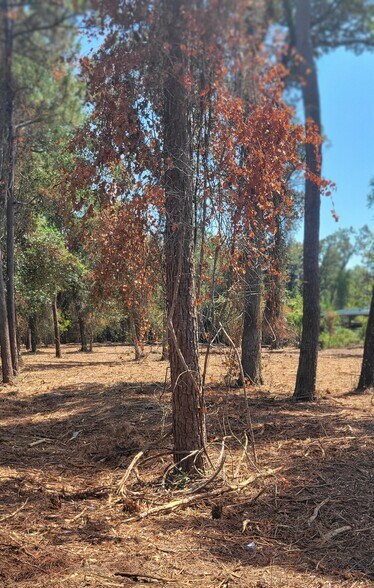 Crawfordville Highway, Crawfordville, FL à vendre - Photo de l’immeuble – Image 3 sur 5