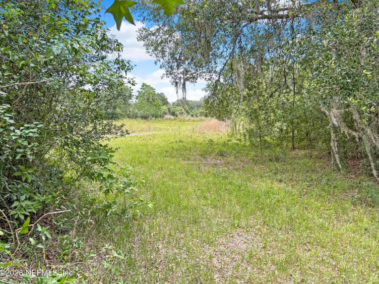 0 Black Creek Dr, Middleburg, FL à vendre - Photo de l’immeuble – Image 3 sur 10