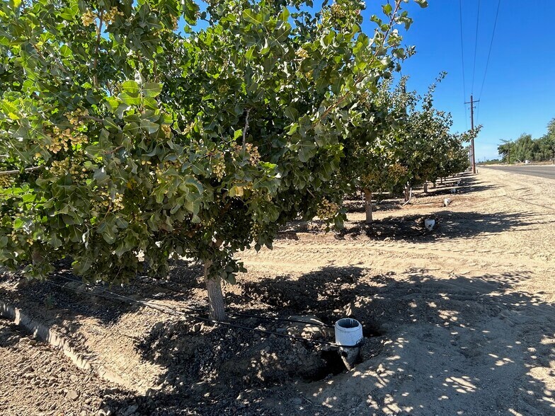 10431 S Bethel Ave, Selma, CA à vendre - Photo de l’immeuble – Image 2 sur 27