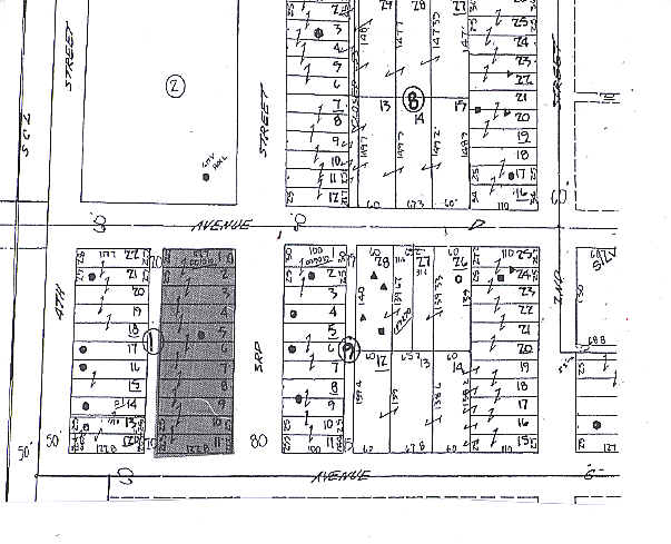 301-373 3rd St NW, Winter Haven, FL à louer - Plan cadastral – Image 3 sur 11