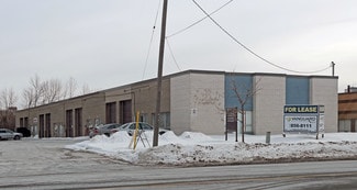 Plus de détails pour 149 Norfinch Dr, Toronto, ON - Industriel/Logistique à louer