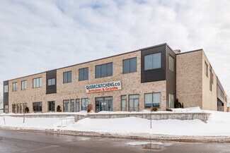 Plus de détails pour 310-350 Rue Ness, Montréal, QC - Local d’activités à vendre