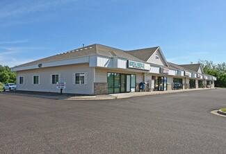 Plus de détails pour 255 Highway 97, Forest Lake, MN - Local commercial à vendre