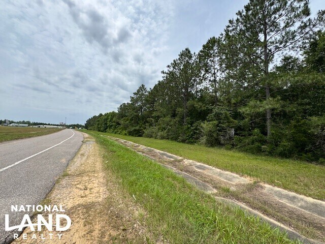 0 Dead Lake Rd., Creola, AL à vendre - Autre – Image 1 sur 15