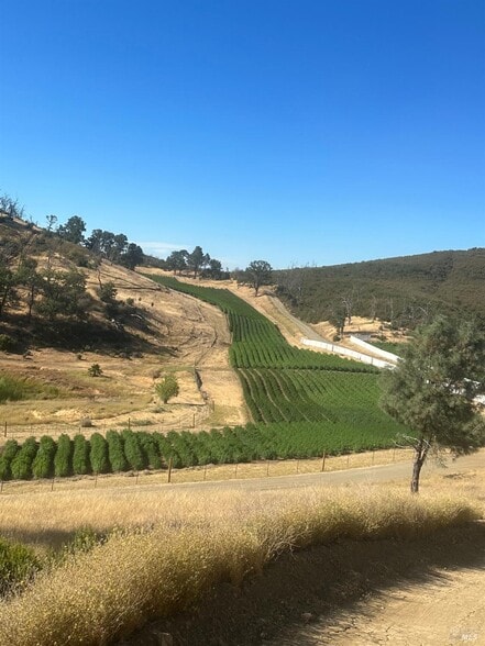 21506 Morgan Valley Rd, Lower Lake, CA à vendre - Photo principale – Image 1 sur 6