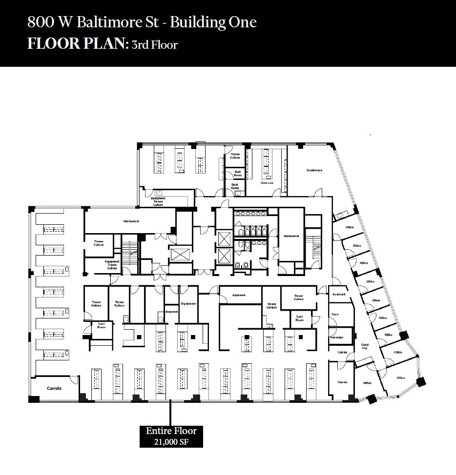 800 W Baltimore St, Baltimore, MD à louer Plan d’étage– Image 1 sur 1