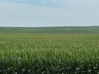 Plus de détails pour E 152nd S st, Lynnville, IA - Terrain à vendre