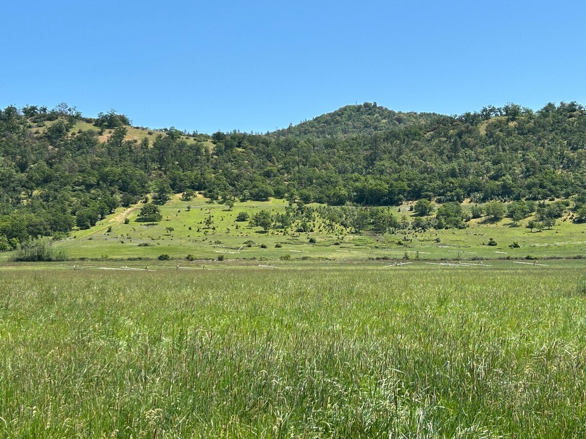 View Photo