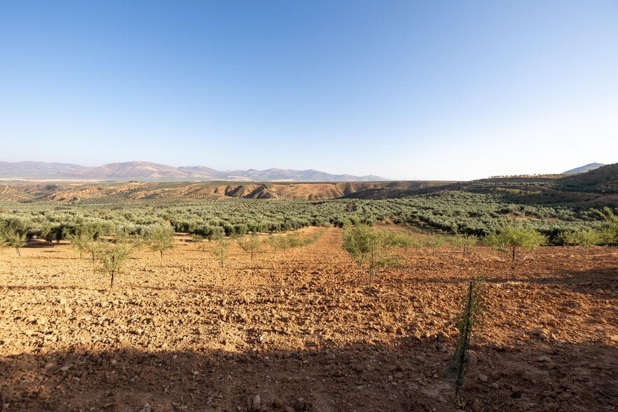 Calle Altillo Alto, Cogollos de la Vega, Granada à vendre - Aérien – Image 3 sur 17