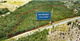 Plus de détails pour Highway 83, Defuniak Springs, FL - Terrain à vendre