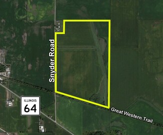 Plus de détails pour Snyder Road, Virgil, IL - Terrain à louer