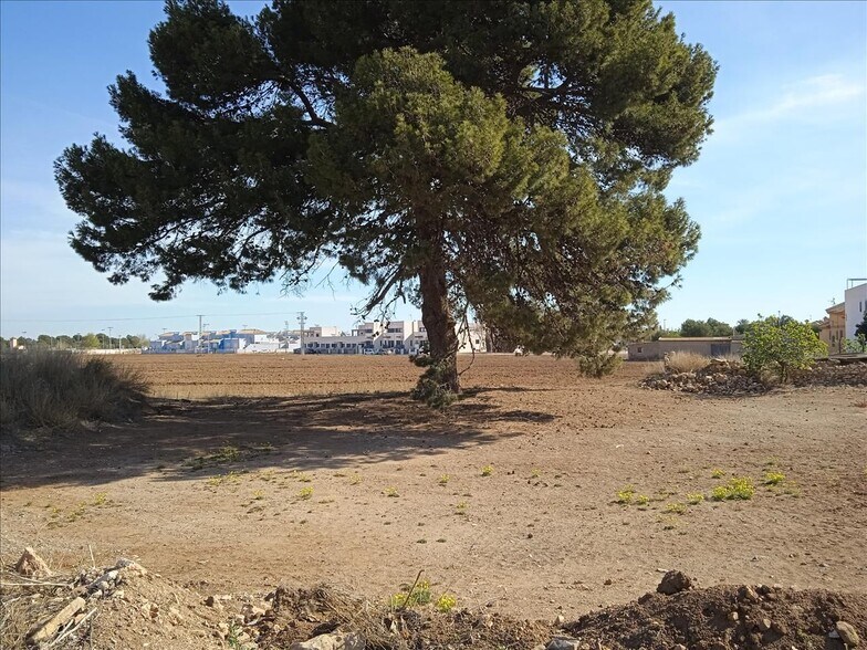 Ua U, Ua Uag, 6, Murcia, Murcia à louer - Photo de l’immeuble – Image 3 sur 17