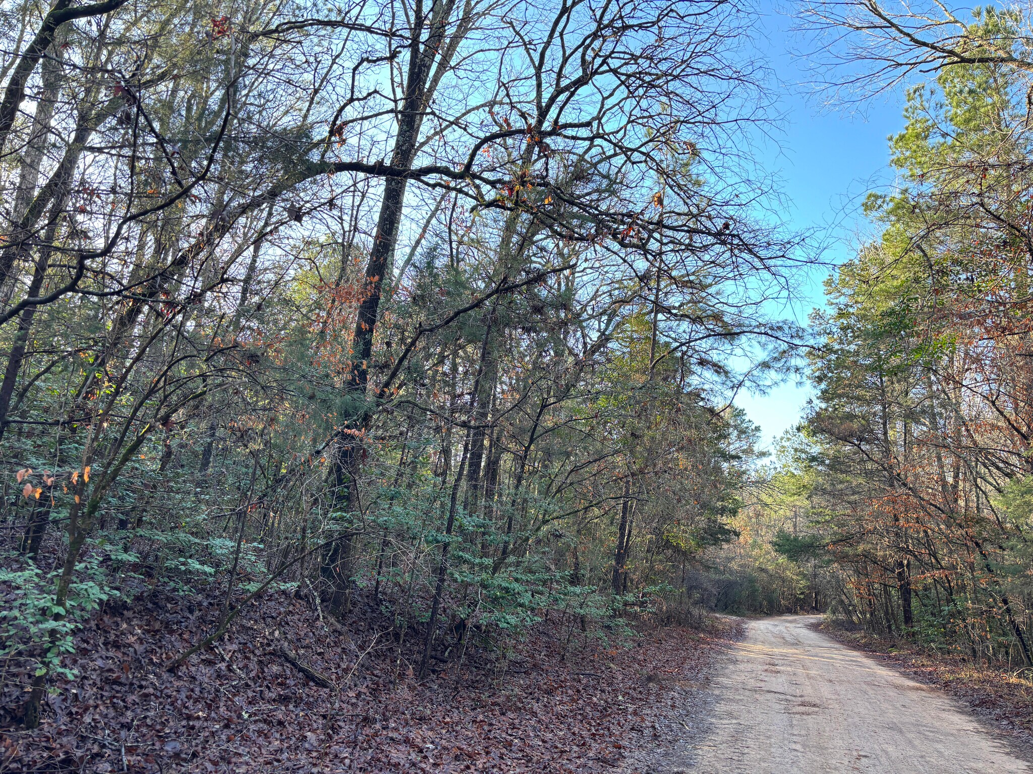 TBD CR 1784, Jefferson, TX à vendre Photo principale– Image 1 sur 7