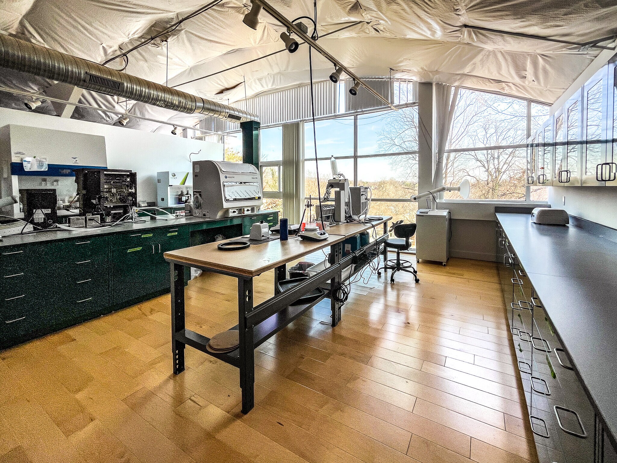 1144 E Market St, Charlottesville, VA à louer Photo principale– Image 1 sur 5