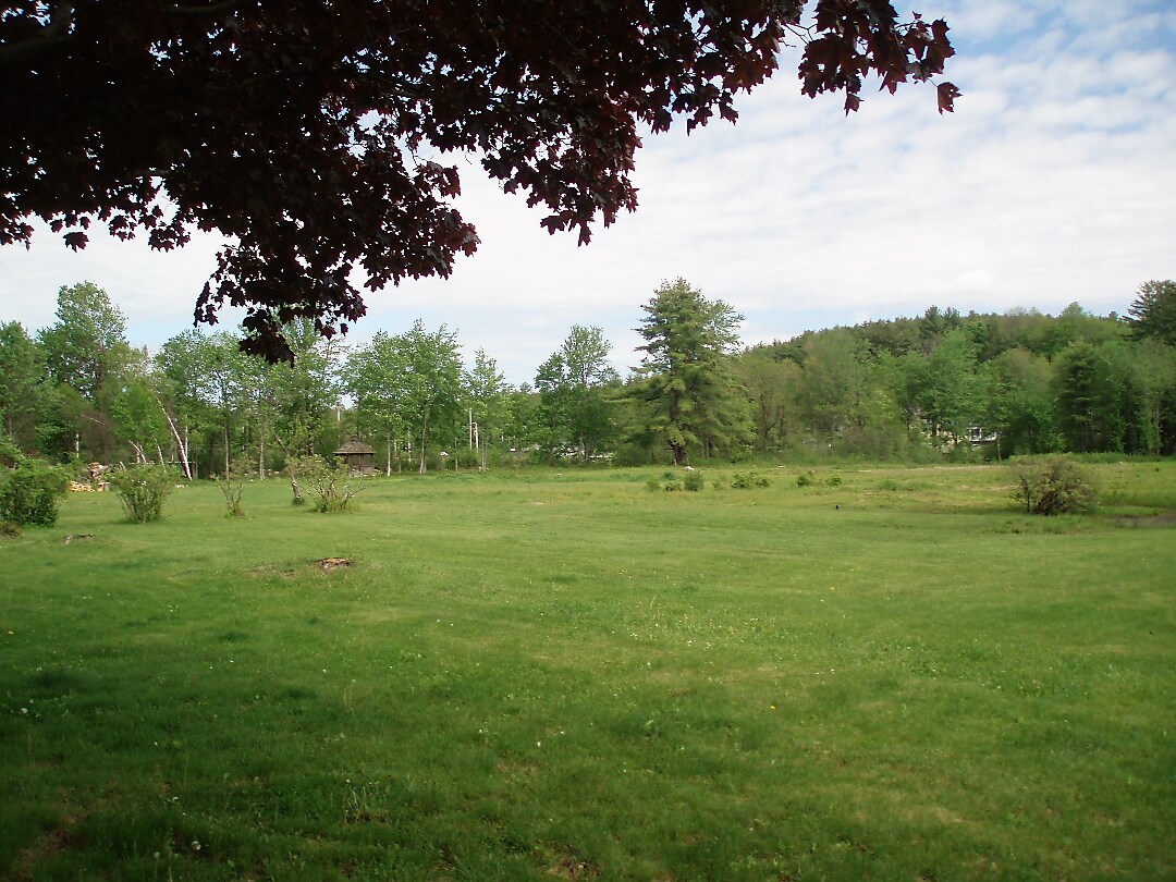 View Photo