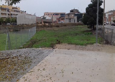 Avinguda de Catalunya, 147, Alcarràs, Lérida à vendre Autre– Image 1 sur 2