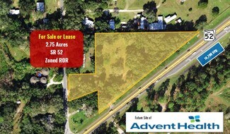 Plus de détails pour 31157 State Road 52, San Antonio, FL - Terrain à vendre